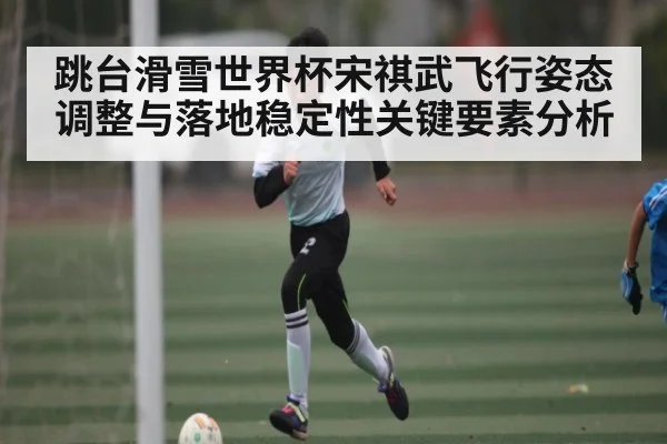 跳台滑雪世界杯宋祺武飞行姿态调整与落地稳定性关键要素分析 - xingkong sports